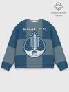 Мужской свитшот базовый / Space X