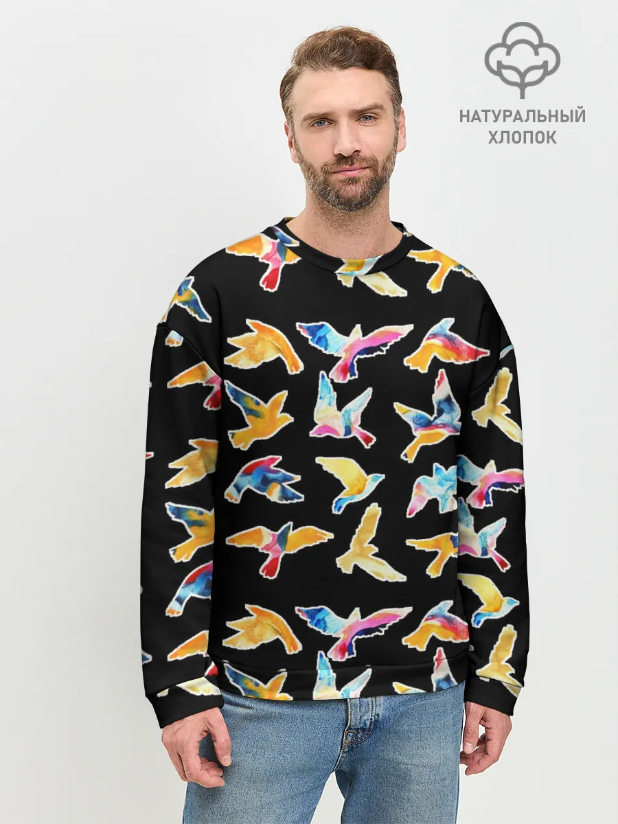 Мужской свитшот базовый / акварельные птицы