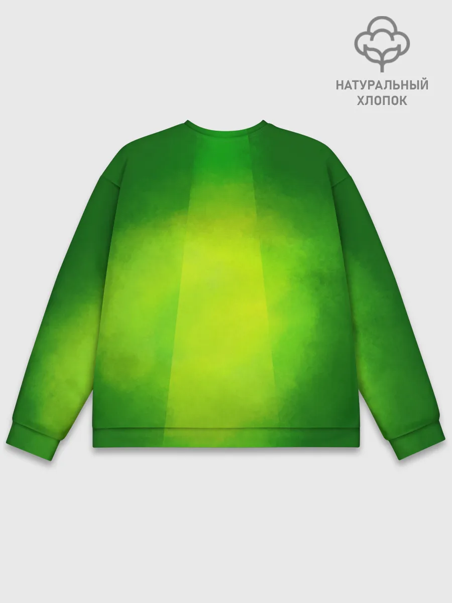 Мужской свитшот базовый / Hot Wheels. Хот Вилс