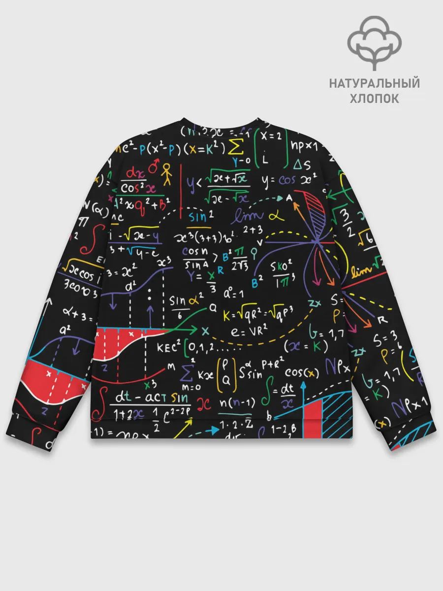 Мужской свитшот базовый / Математика | Функции
