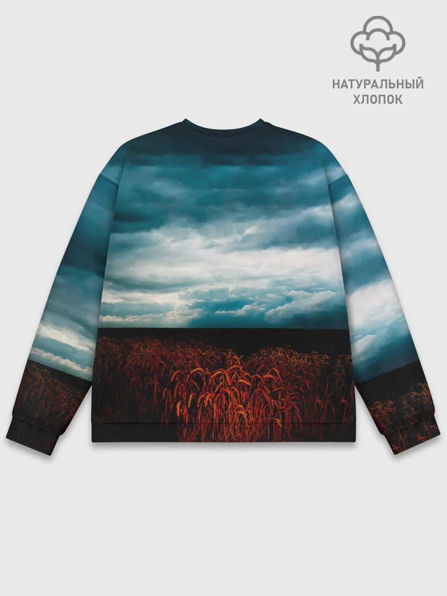 Мужской свитшот базовый / A Broken Frame - Depeche Mode