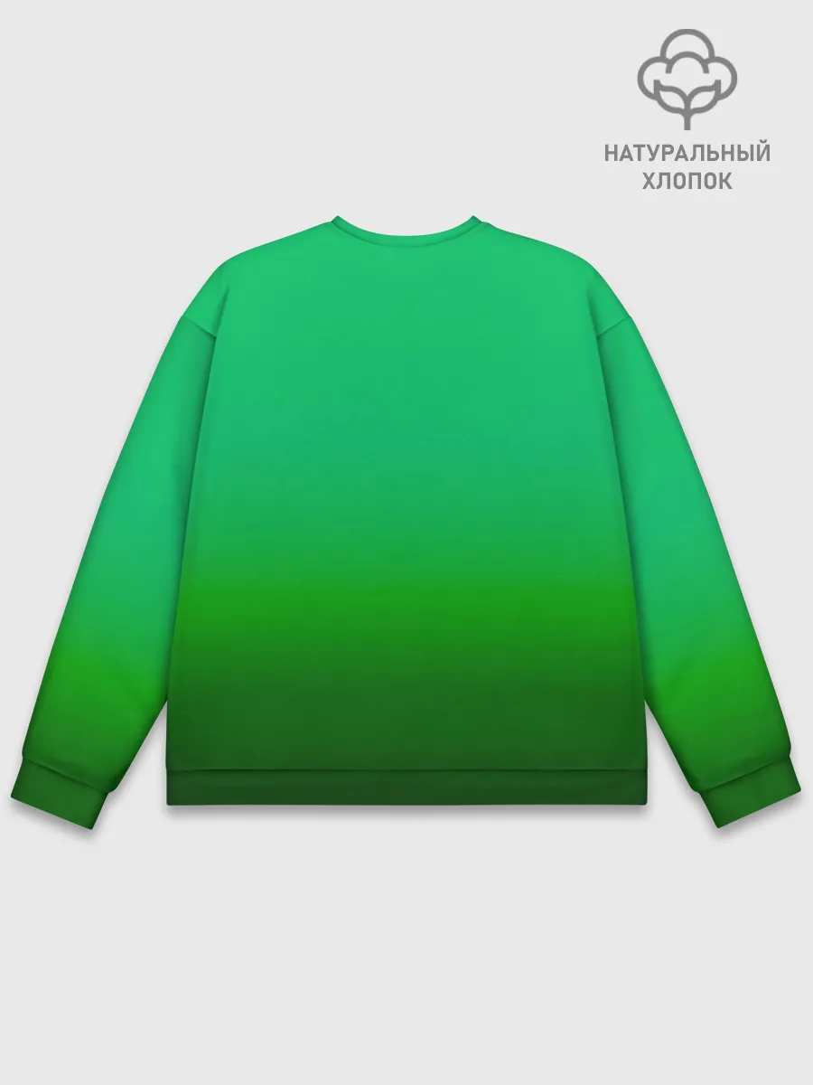 Мужской свитшот базовый / BMW GREEN STYLE