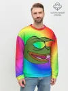 Мужской свитшот базовый / Pepe rainbow