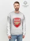 Мужской свитшот базовый / F.C. Arsenal
