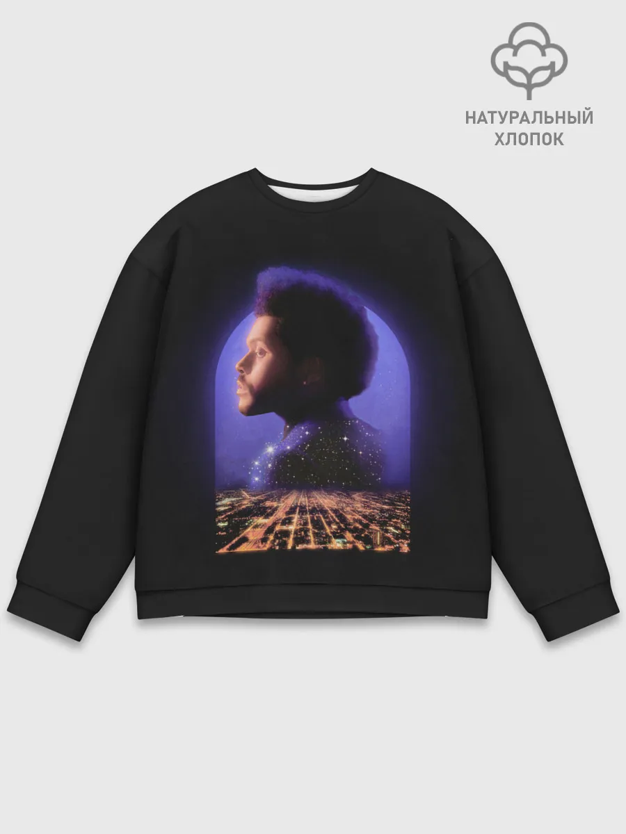 Мужской свитшот базовый / Retro the weekend