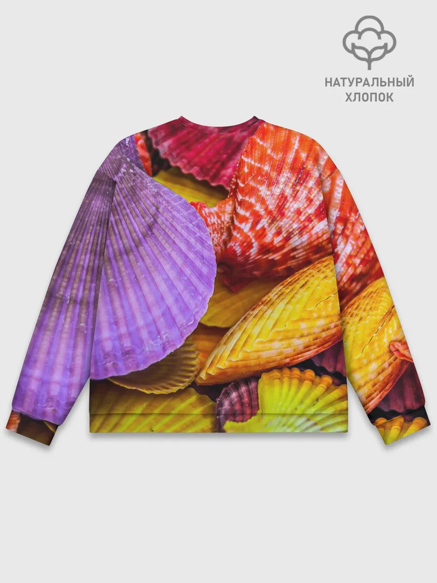 Мужской свитшот базовый / Разноцветные ракушки multicolored seashells