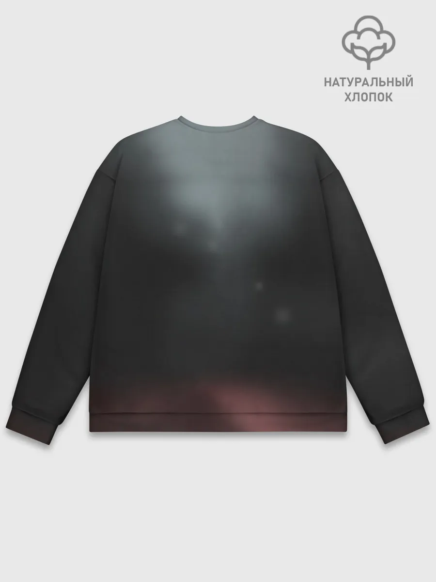 Мужской свитшот базовый / Вера Ванг