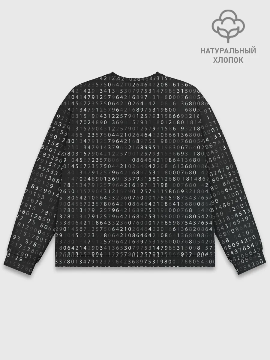 Мужской свитшот базовый / ИГРА В КАЛЬМАРА, СТРАЖ КРУГ / БИНАРНЫЙ КОД