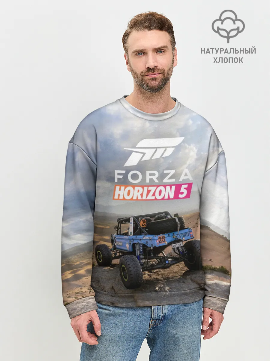 Мужской свитшот базовый / Forza Horizon 5