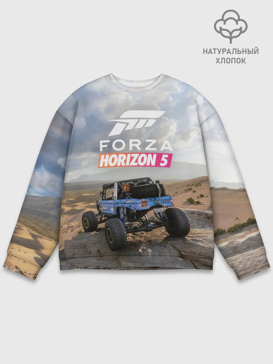 Мужской свитшот базовый / Forza Horizon 5