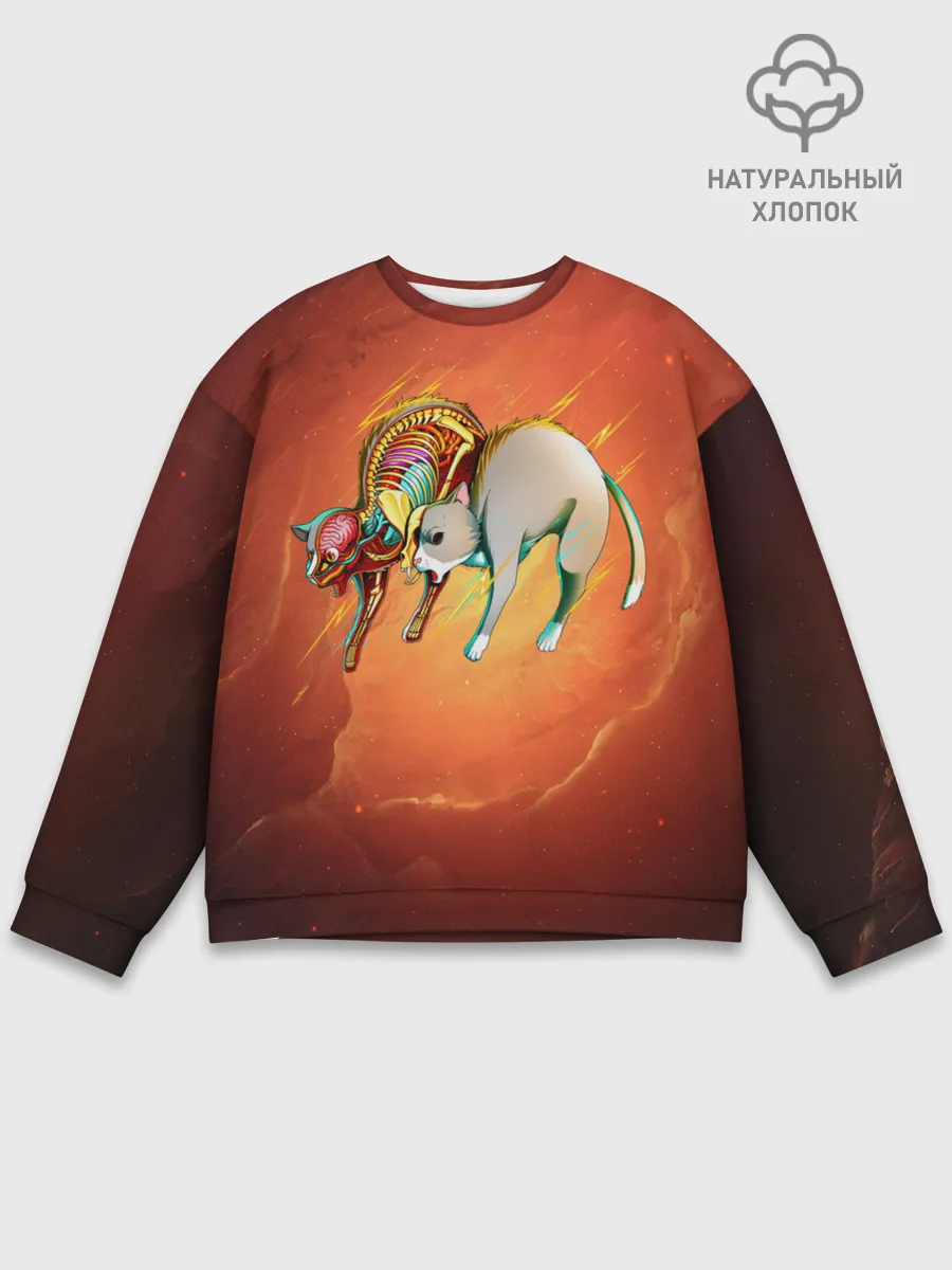 Мужской свитшот базовый / Cat 50/50