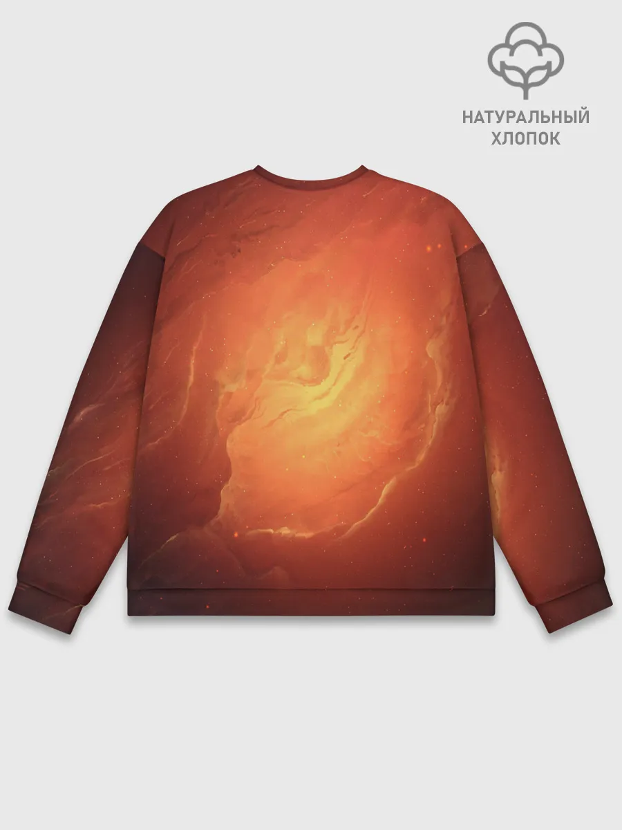 Мужской свитшот базовый / Cat 50/50