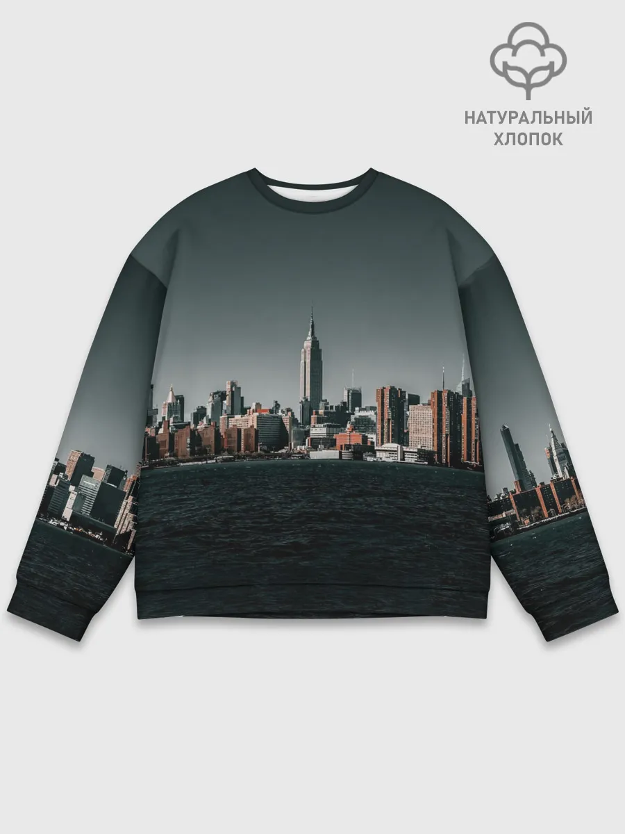 Мужской свитшот базовый / Вид на Нью Йорк