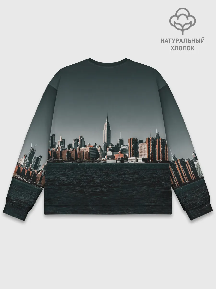 Мужской свитшот базовый / Вид на Нью Йорк