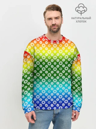 Мужской свитшот базовый / Для фотографов. RGB. Диафрагма.