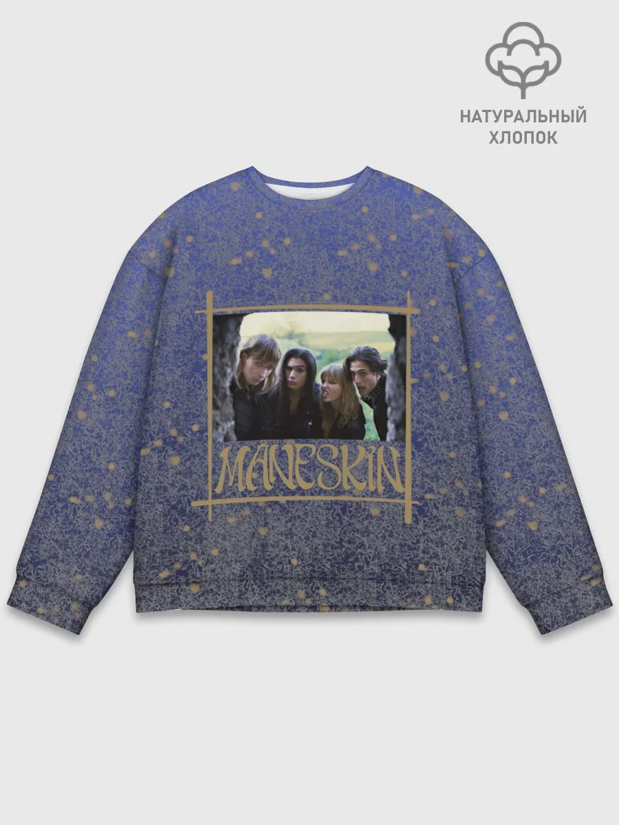 Мужской свитшот базовый / Maneskin в серебре и золоте