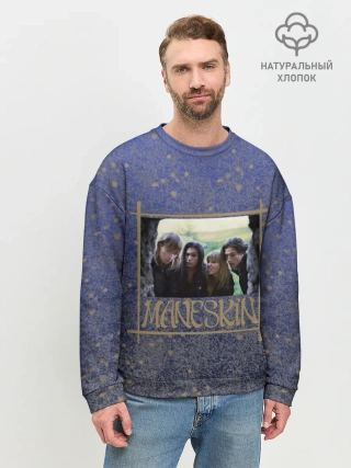 Мужской свитшот базовый / Maneskin в серебре и золоте