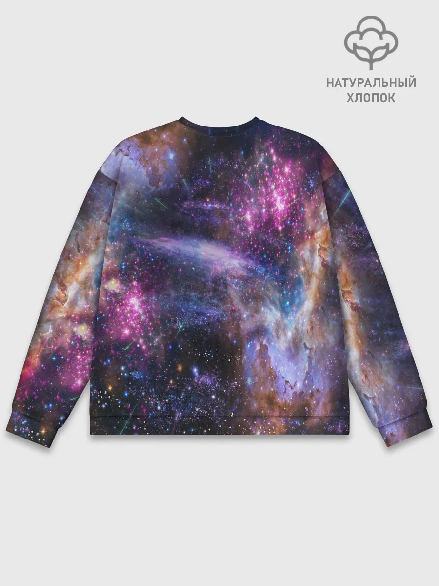 Мужской свитшот базовый / Звездный тигр