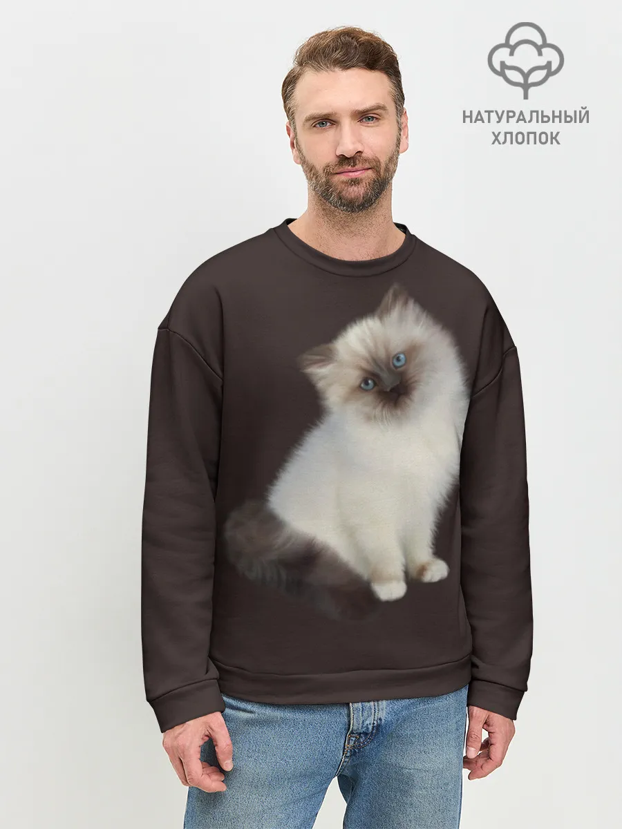 Мужской свитшот базовый / Котенок Ми