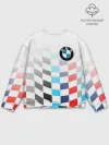 Мужской свитшот базовый / BMW GROUP / M PERFORMANCE BMW SPORT