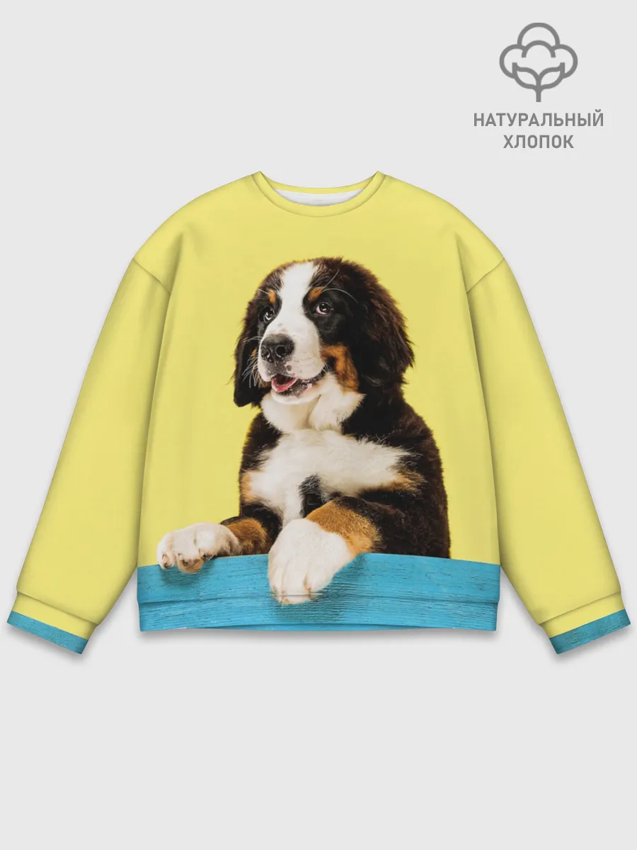 Мужской свитшот базовый / Бернский зенненхунд, Berner Sennenhund