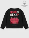 Мужской свитшот базовый / Whos Next /Кто следующий.