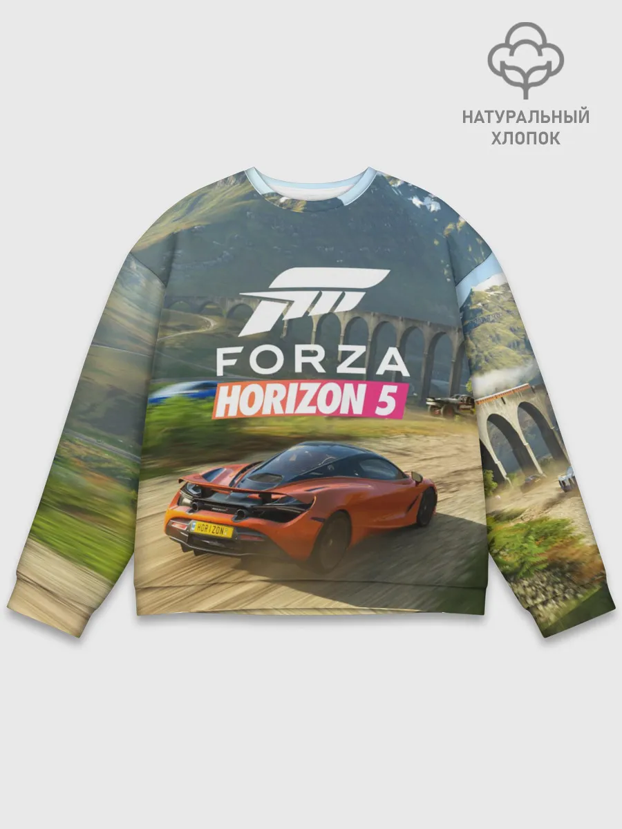 Мужской свитшот базовый / Forza Horizon 5, игра