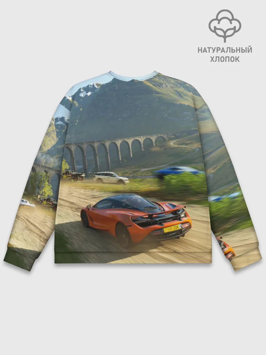 Мужской свитшот базовый / Forza Horizon 5, игра