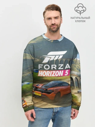 Мужской свитшот базовый / Forza Horizon 5, игра