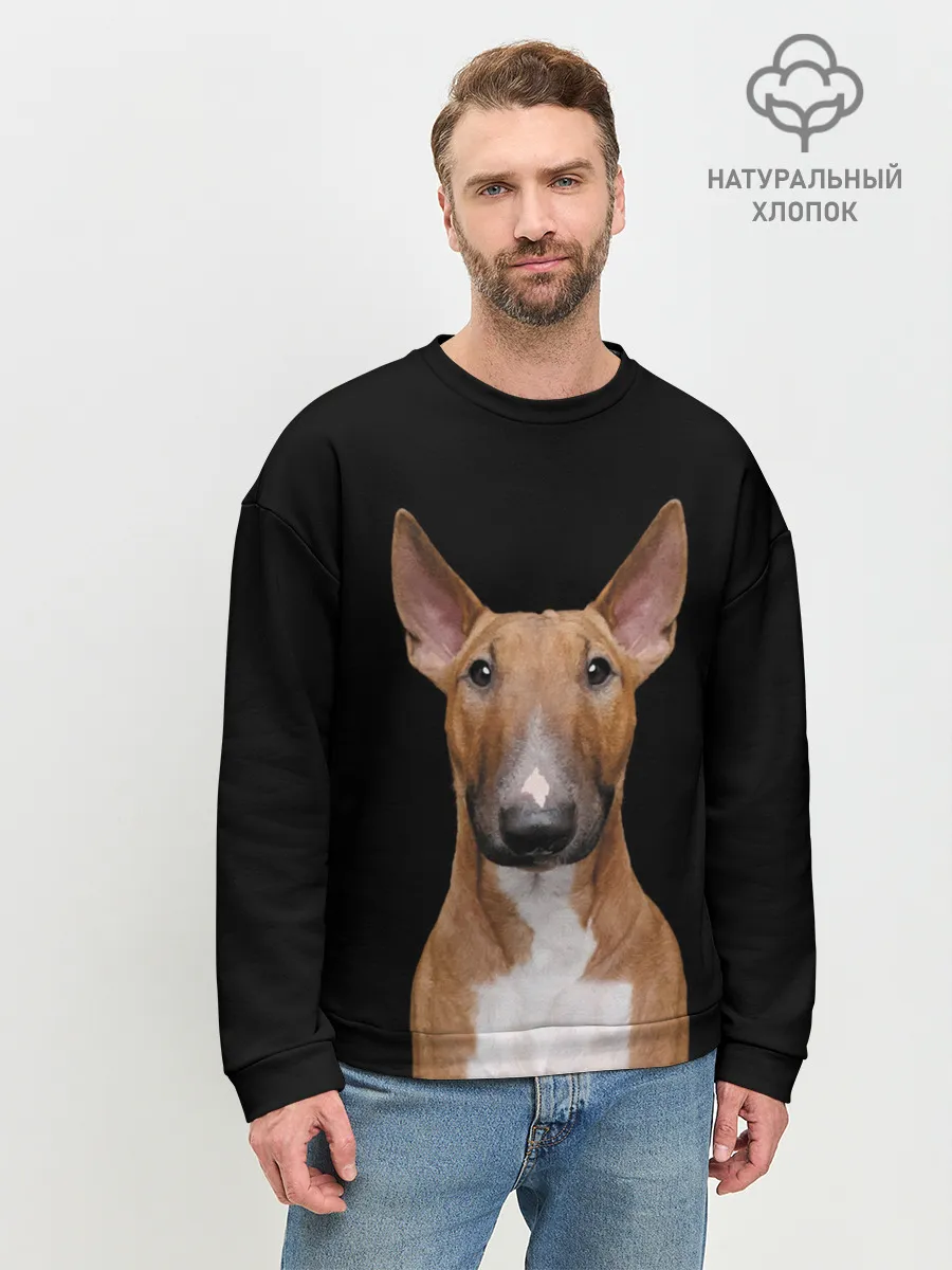 Мужской свитшот базовый / Строгий смелый взгляд