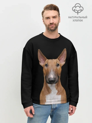 Мужской свитшот базовый / Строгий смелый взгляд