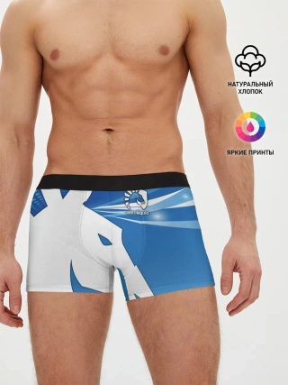 Мужские трусы боксеры / Team Liquid