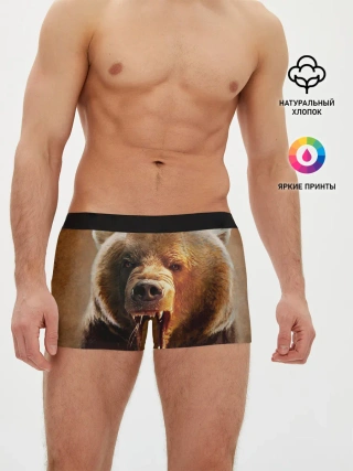 Мужские трусы боксеры / Медведь
