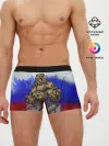 Мужские трусы боксеры / Медведь
