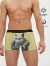 Мужские трусы боксеры / Кот