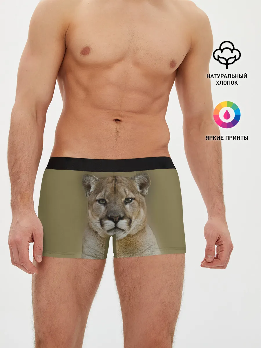 Мужские трусы боксеры / Пума