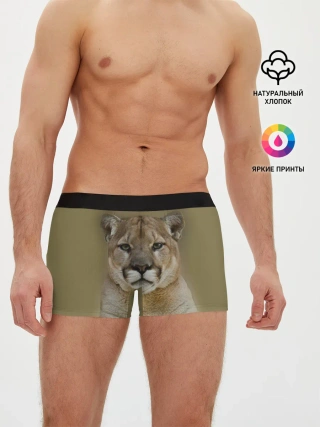 Мужские трусы боксеры / Пума