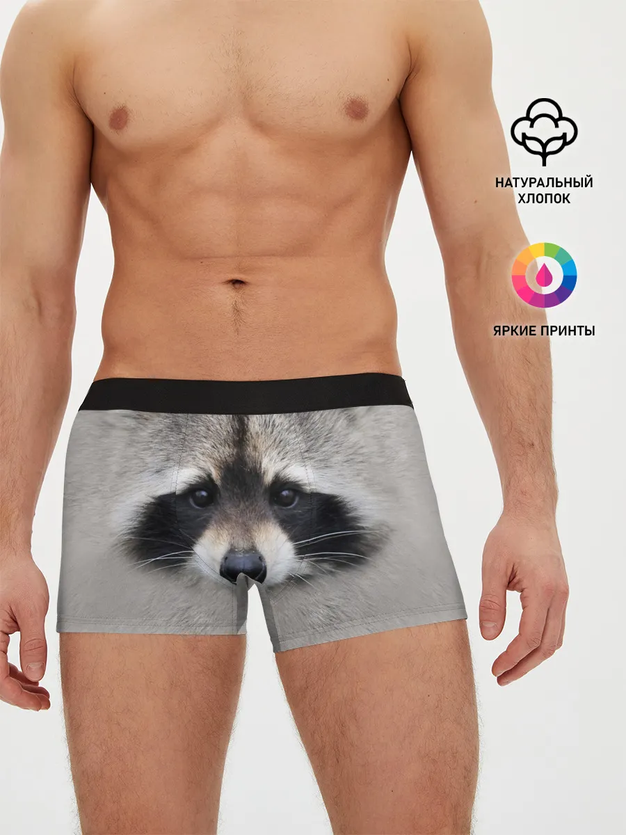Мужские трусы боксеры / Енот