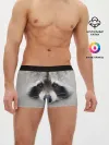 Мужские трусы боксеры / Енот