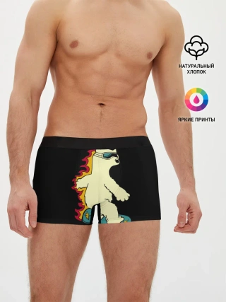 Мужские трусы боксеры / Мишка на борде