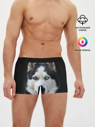 Мужские трусы боксеры / Хаски