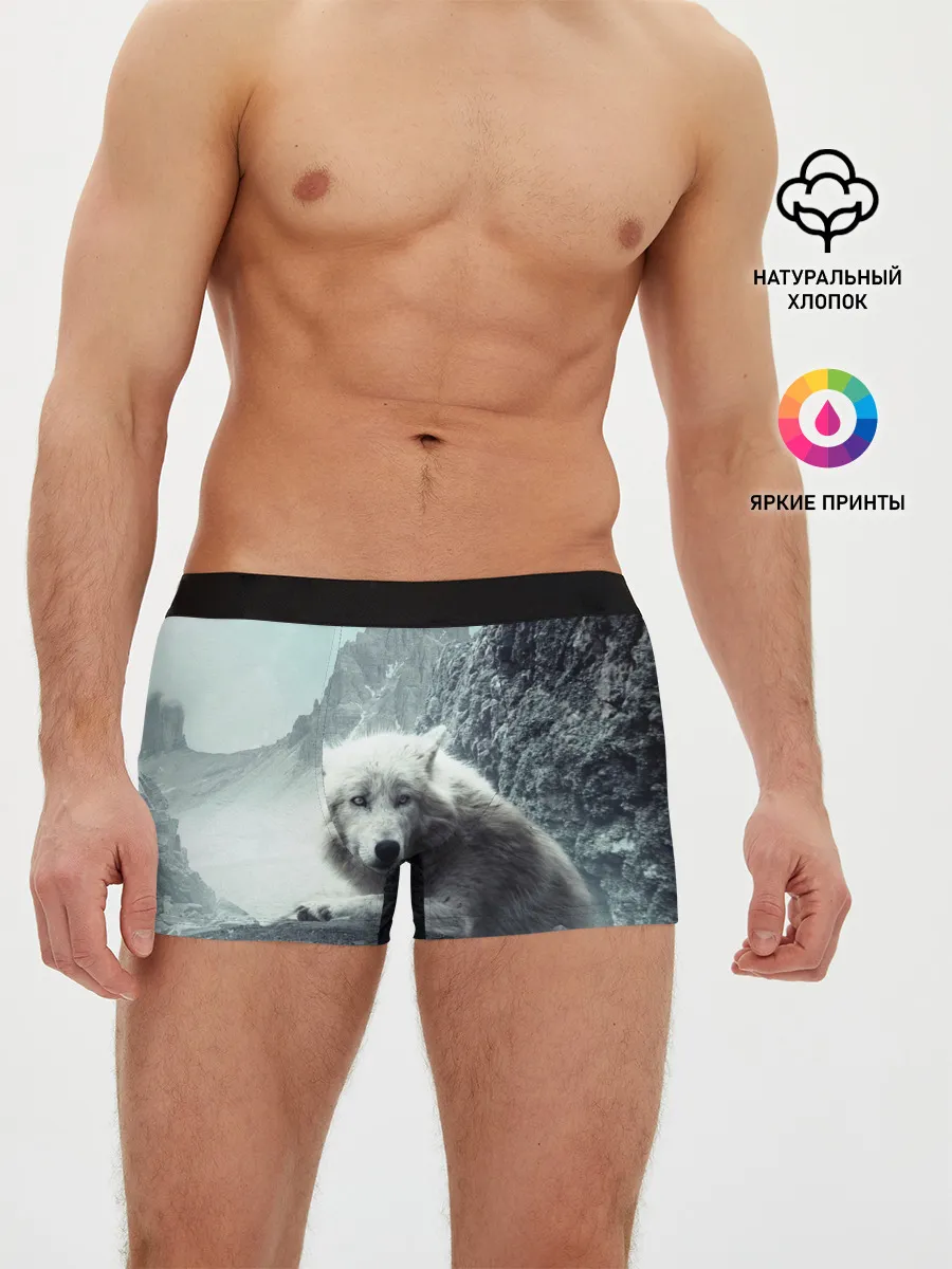 Мужские трусы боксеры / Волк в горах