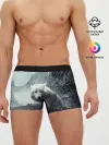 Мужские трусы боксеры / Волк в горах