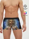 Мужские трусы боксеры / Iron maiden 6