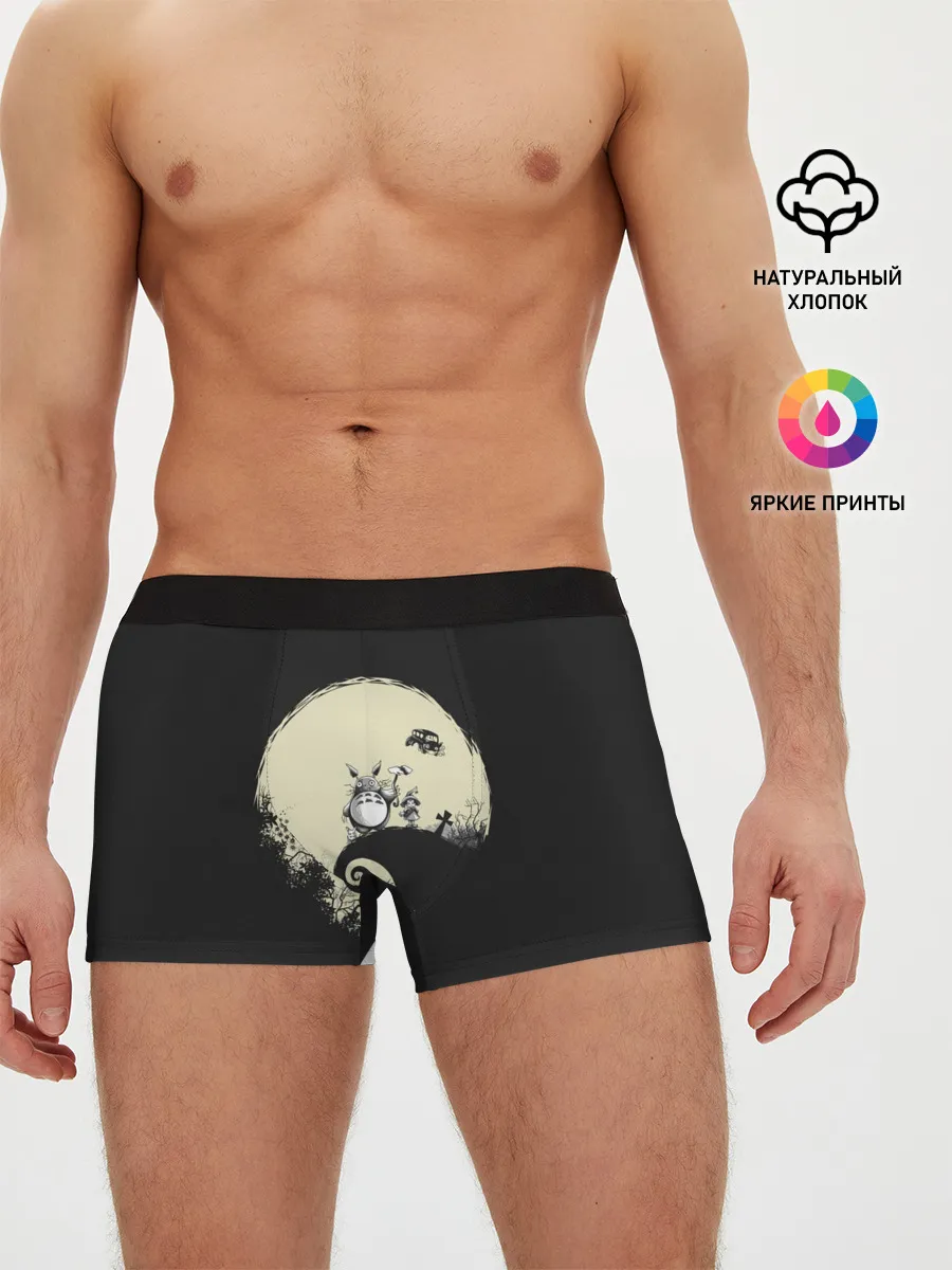 Мужские трусы боксеры / Totoro