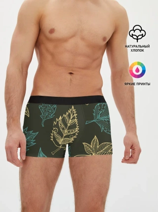 Мужские трусы боксеры / Осенний мотив