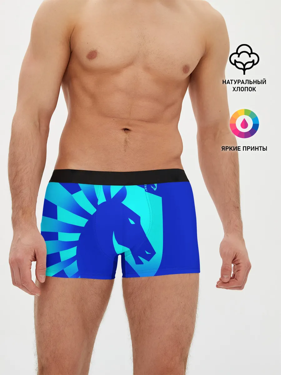 Мужские трусы боксеры / Counter Strike