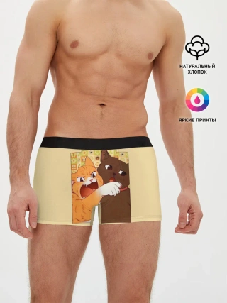 Мужские трусы боксеры / Woman yelling at Cat meme