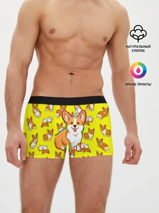 Мужские трусы боксеры / Corgi