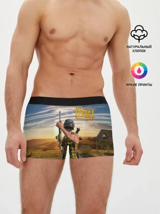 Мужские трусы боксеры / PUBG